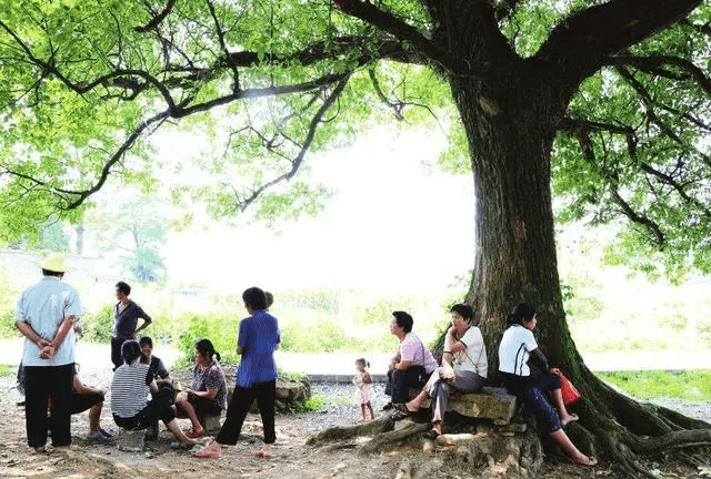 我与电子游戏的那些事儿