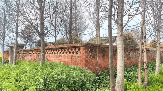 我与电子游戏的那些事儿